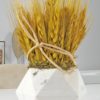 Vente fleurs séchées blé