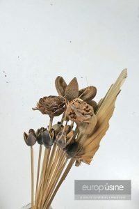Fleurs séchées tropicales