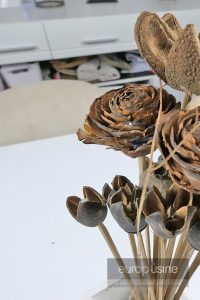 Fleurs séchées tropicales