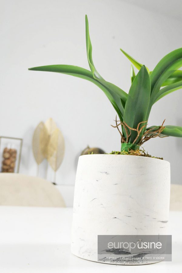 Plante artificielle cactus