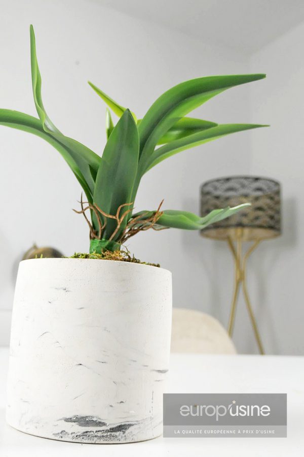 Plante artificielle cactus