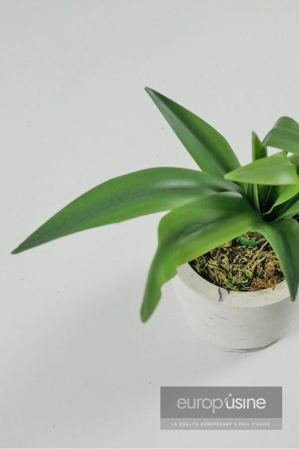 Plante artificielle cactus
