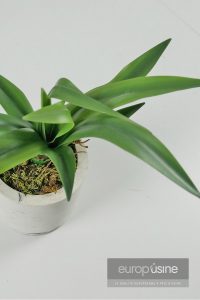 Plante artificielle cactus